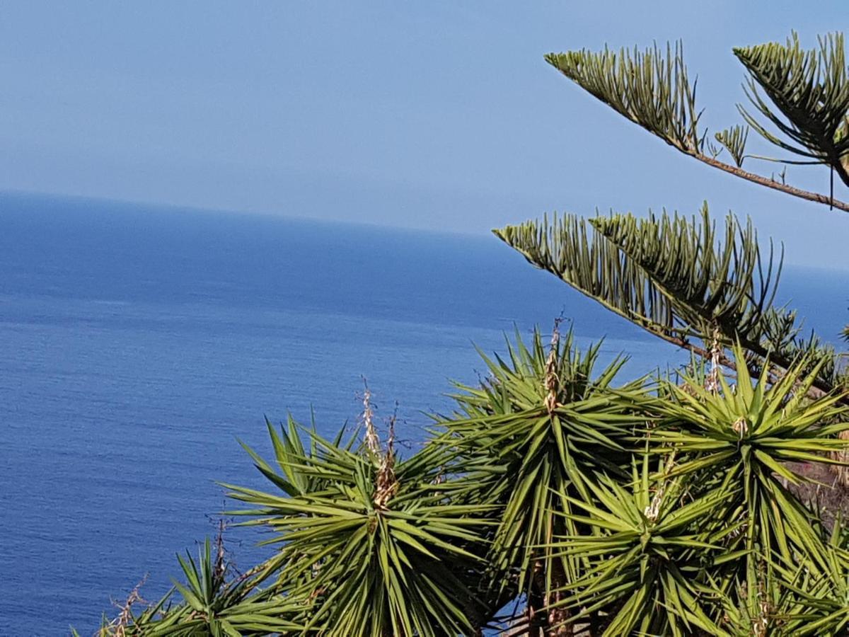 Tenerife Rooms S. C. Santa Cruz de Tenerife Kültér fotó