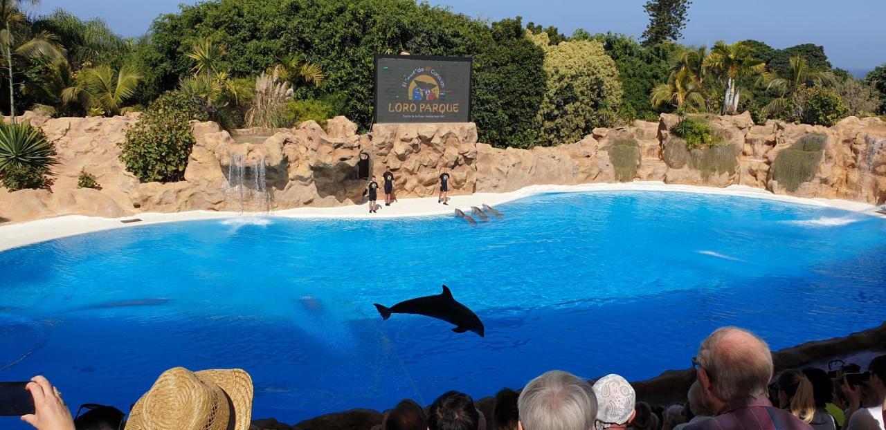 Tenerife Rooms S. C. Santa Cruz de Tenerife Kültér fotó